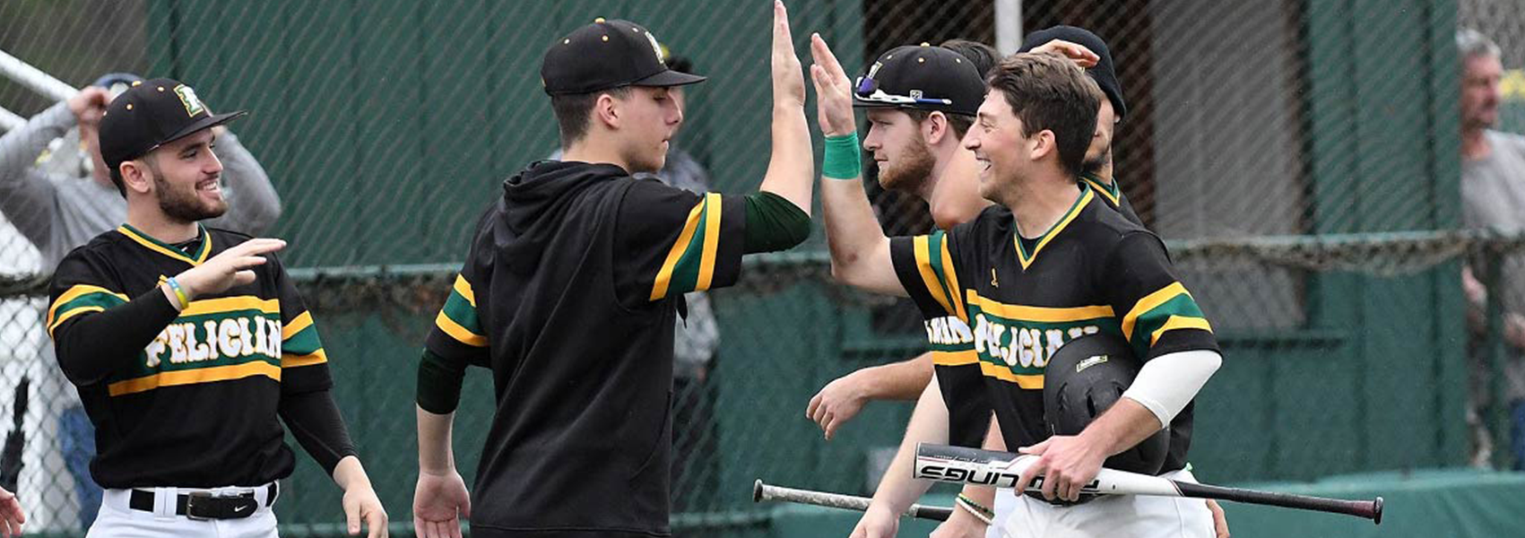 Felician Baseball Continues to Hit Home Runs - Felician University of