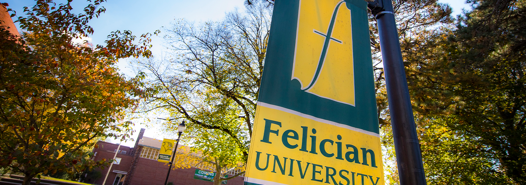 Catalogs - Felician University of New Jersey Catalogs - Felician University of New Jersey