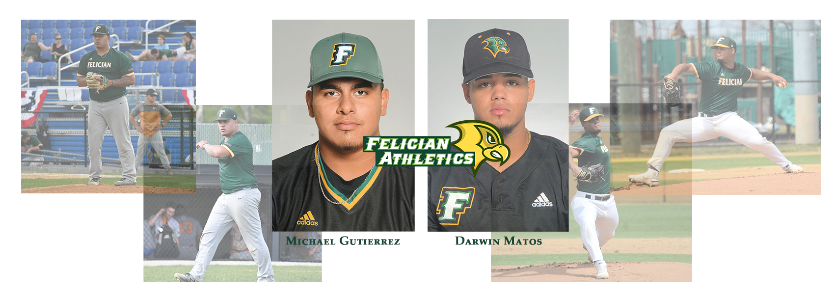 Former Felician Baseball Players Signed Professionally - Felician