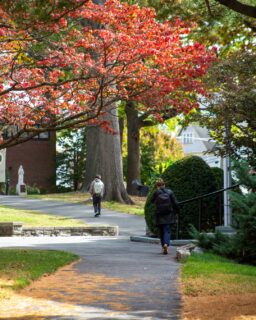 #FallinLove with Felician University! 🍂 🦅 👏 

How beautiful is our campus this time of year? Picture yourself walking to class surrounded by fall colors, friendly faces, and endless opportunities. 🍁 Sign up for our #FallOpenHouse today and start your Felician story! You can sign up now using the link in our bio! 👆 

______________________
#FallinLoveWithFelician #FelicianUniversity #GoldenFalcons #FallAtFelician #CampusVibes #CollegeLife #FallInLove #CampusBeauty #AutumnVibes #FallFeels #FutureFalcon #ChooseFelician #WhyFelician #CollegeSearch #DiscoverFelician #MyFelicianJourney #ApplyNow #CampusTour #CollegeBound