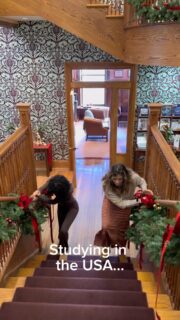 There’s studying abroad… and then there’s studying abroad with Felician. 🌍✨
Italy, Spain, the UK, and Poland are waiting. Learn more at the link in our bio.