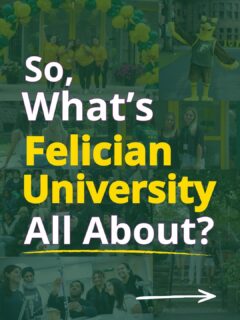 So, what’s Felician University all about? 👀

From scholarships and career-focused programs to DII athletics and being just 10 miles from NYC, there’s a lot that makes Felician, Felician. Are you interested in learning more about life as a #GoldenFalcon? 

Schedule a campus tour today using the link in our bio! 

_________
#FelicianUniversity #FelicianStudents #GoldenFalcons #collegelife #highereducation #NYC #athletics #scholarships #studentlife