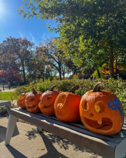 FALL in love with Felician! 🍂 🎃 🍁