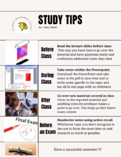 📚✨ Study Tips by Peer Mentor Citlaly! Get ready to boost your focus, stay organized, and level up your study routine with helpful tips you can actually use.