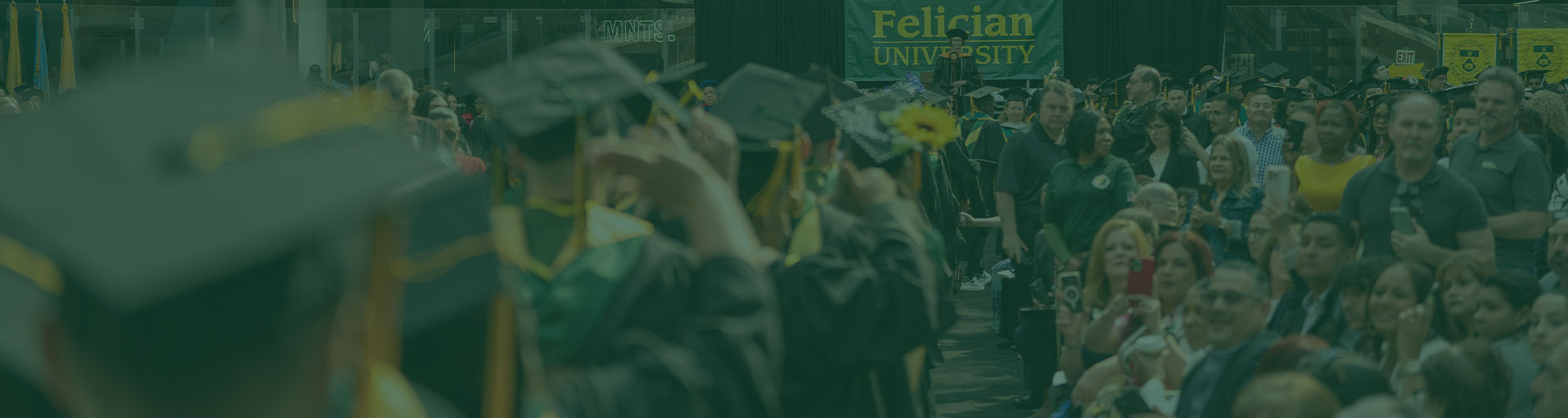 students at graduation