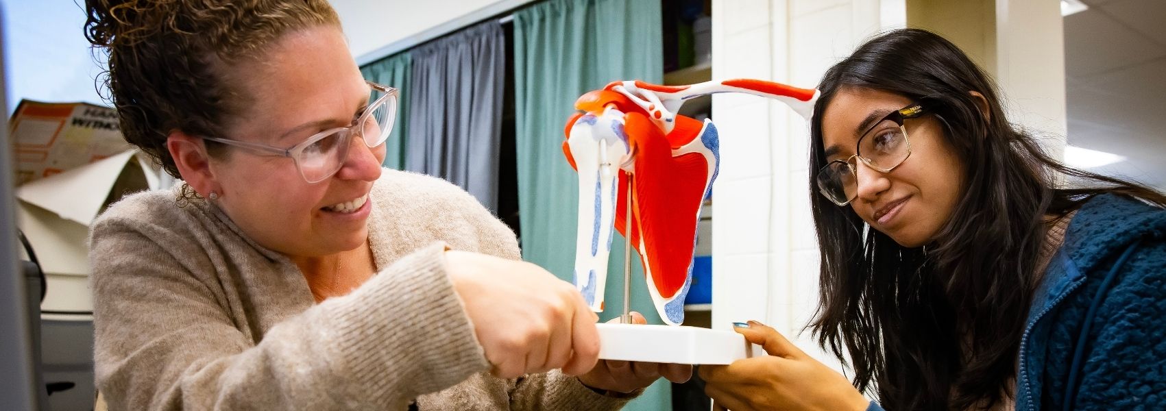 Occupational Therapy Felician University of New Jersey