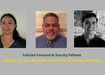AI Faculty Fellows