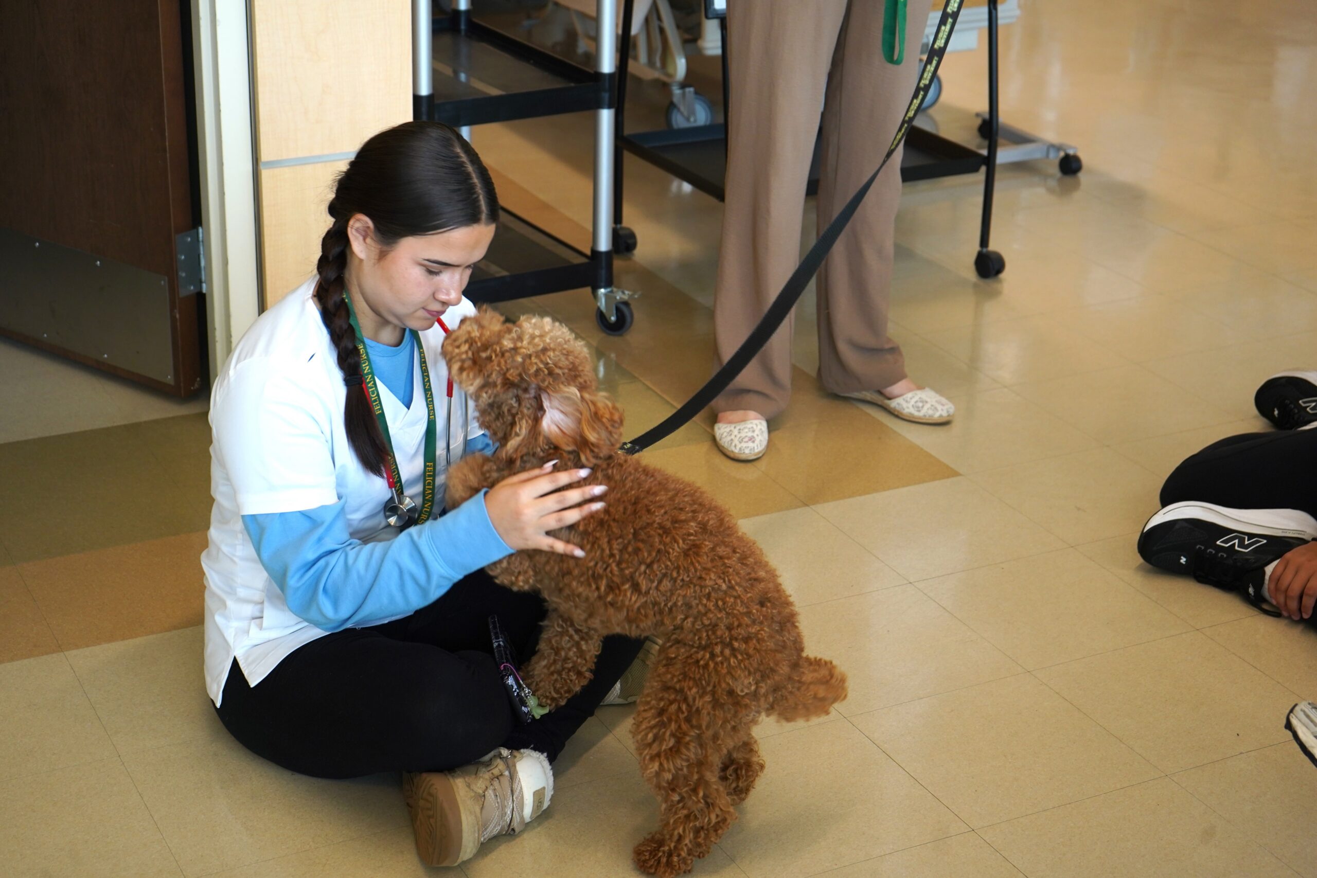 summer nursing academy pet therapy